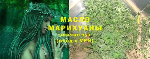 гашик Нея
